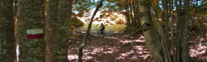 Il CAI, la mountain bike ed il ciclo escursionismo