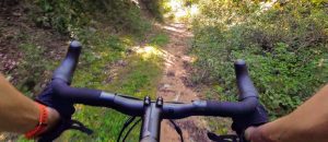 Gravel bike